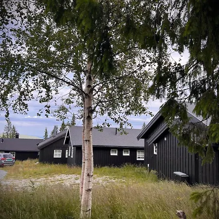 Pa Norefjell * Noresund