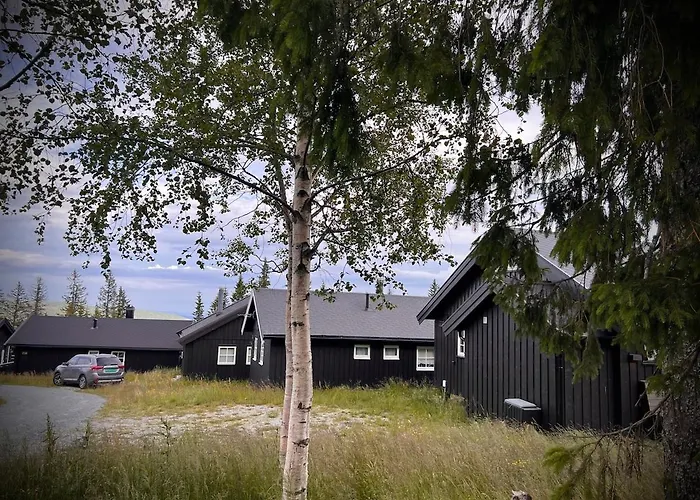 Pa Norefjell * Noresund